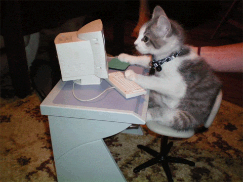 Gif de gato teclando no computador.